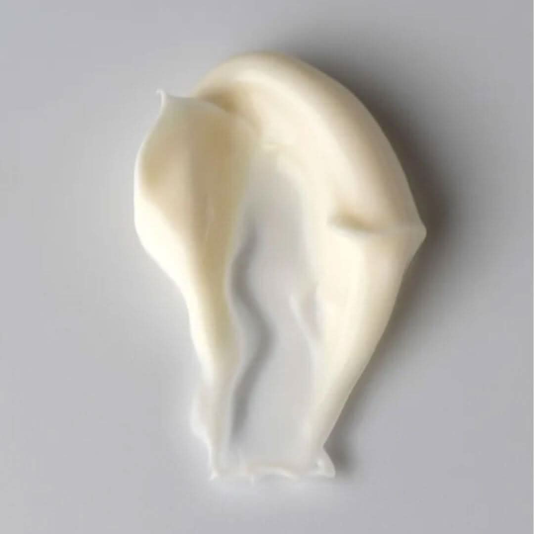Vegan Antioxidant Cream - Awah Earth